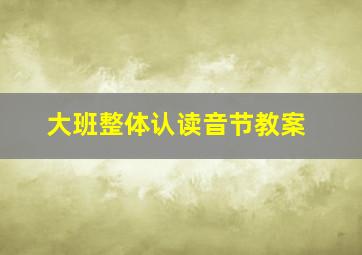 大班整体认读音节教案