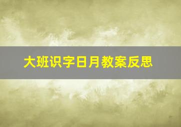 大班识字日月教案反思