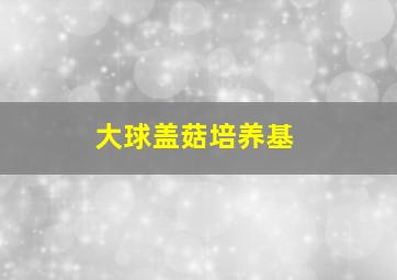 大球盖菇培养基