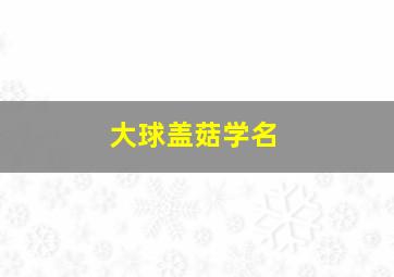 大球盖菇学名