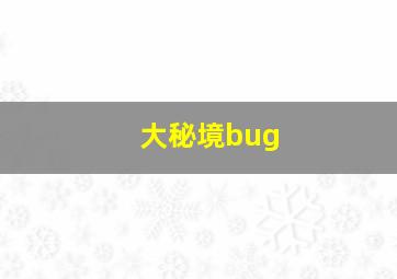 大秘境bug