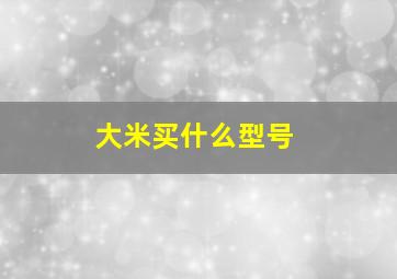 大米买什么型号