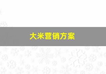 大米营销方案