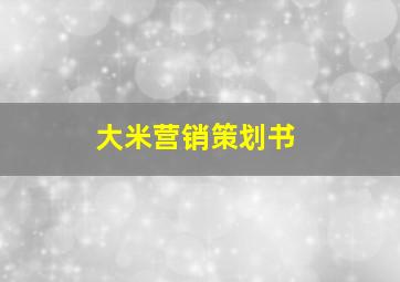 大米营销策划书