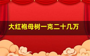 大红袍母树一克二十几万