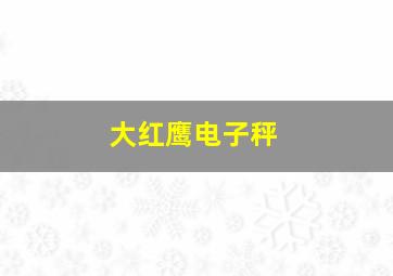 大红鹰电子秤