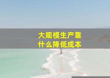 大规模生产靠什么降低成本