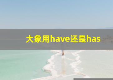 大象用have还是has