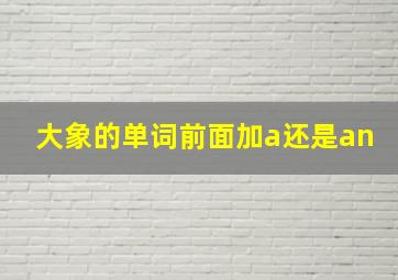 大象的单词前面加a还是an