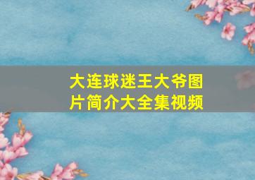 大连球迷王大爷图片简介大全集视频