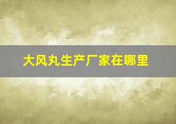 大风丸生产厂家在哪里