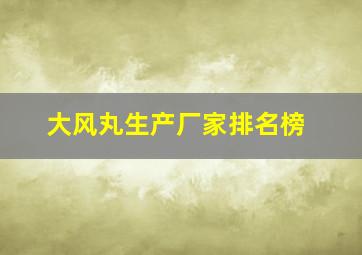 大风丸生产厂家排名榜