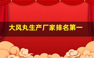 大风丸生产厂家排名第一