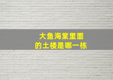 大鱼海棠里面的土楼是哪一栋