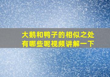 大鹅和鸭子的相似之处有哪些呢视频讲解一下