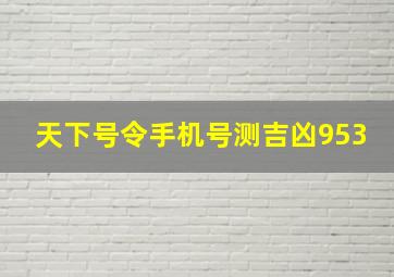 天下号令手机号测吉凶953