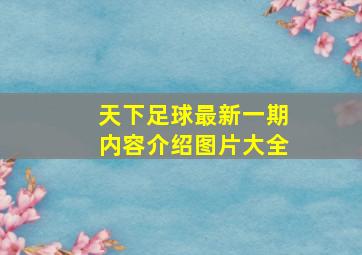 天下足球最新一期内容介绍图片大全