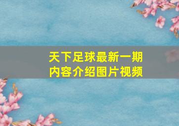 天下足球最新一期内容介绍图片视频