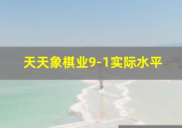 天天象棋业9-1实际水平