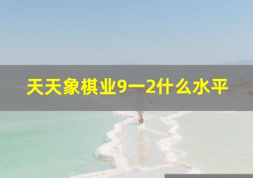 天天象棋业9一2什么水平