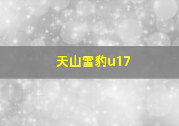 天山雪豹u17