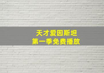 天才爱因斯坦第一季免费播放