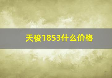 天梭1853什么价格