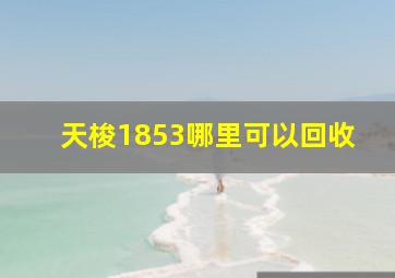 天梭1853哪里可以回收