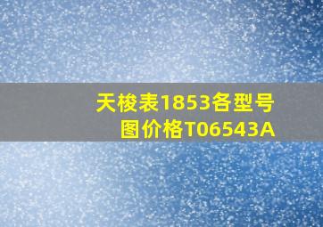 天梭表1853各型号图价格T06543A