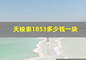 天梭表1853多少钱一块