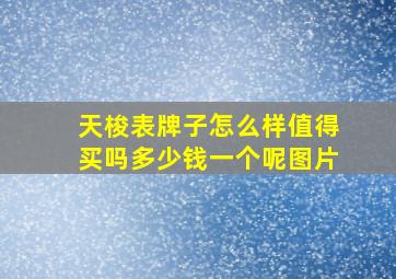 天梭表牌子怎么样值得买吗多少钱一个呢图片