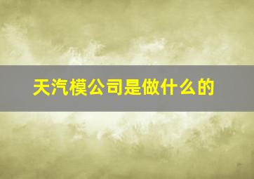 天汽模公司是做什么的