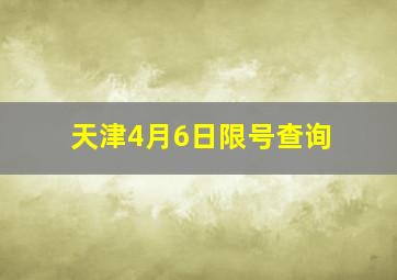 天津4月6日限号查询