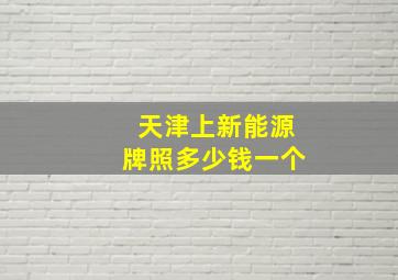 天津上新能源牌照多少钱一个