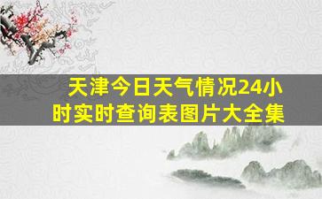 天津今日天气情况24小时实时查询表图片大全集