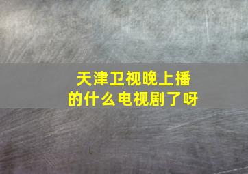 天津卫视晚上播的什么电视剧了呀