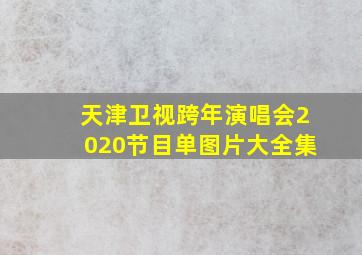 天津卫视跨年演唱会2020节目单图片大全集