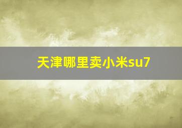 天津哪里卖小米su7