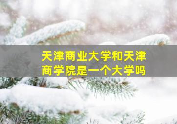 天津商业大学和天津商学院是一个大学吗