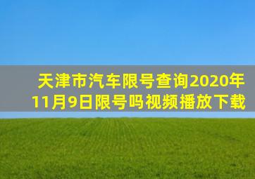 天津市汽车限号查询2020年11月9日限号吗视频播放下载