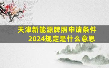 天津新能源牌照申请条件2024规定是什么意思