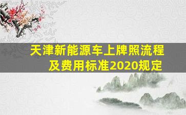 天津新能源车上牌照流程及费用标准2020规定