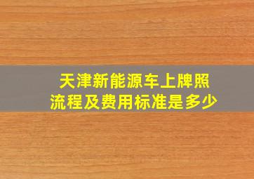 天津新能源车上牌照流程及费用标准是多少