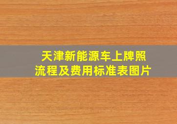 天津新能源车上牌照流程及费用标准表图片