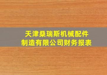 天津桑瑞斯机械配件制造有限公司财务报表