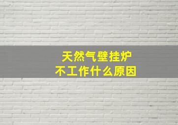 天然气壁挂炉不工作什么原因