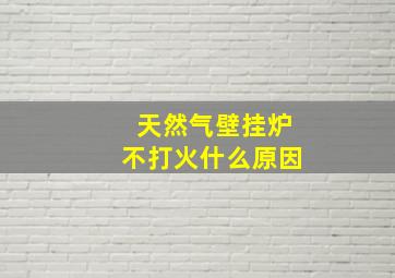 天然气壁挂炉不打火什么原因