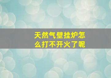 天然气壁挂炉怎么打不开火了呢