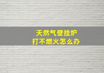 天然气壁挂炉打不燃火怎么办