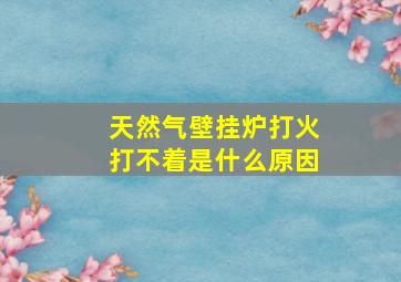 天然气壁挂炉打火打不着是什么原因